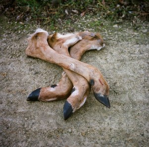 plus-value du comptable 