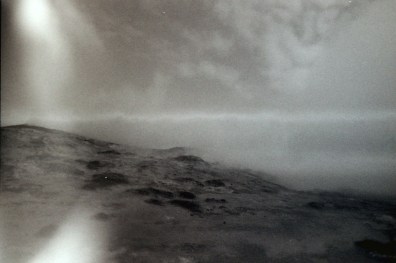 My beautiful picture