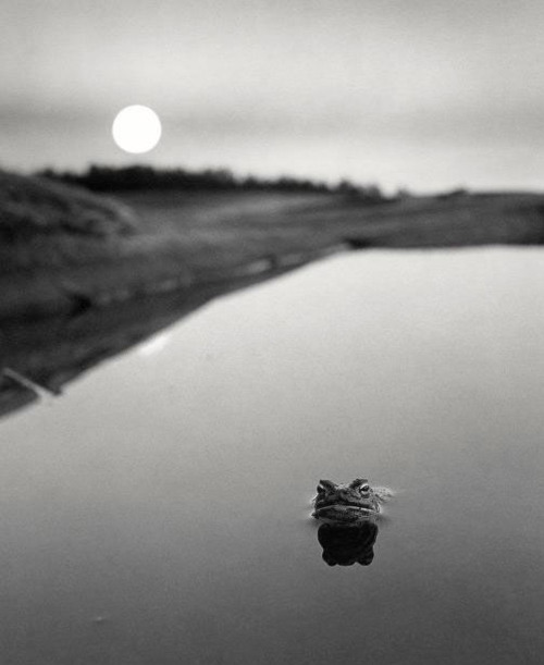 "Ce qui se fait existait déjà, et ce qui se fera a déjà été : Dieu ramène ce qui est passé". L'Ecclésiaste, I, 9 (in Clément Rosset, L’Esthétique de Schopenhauer, p. 58)