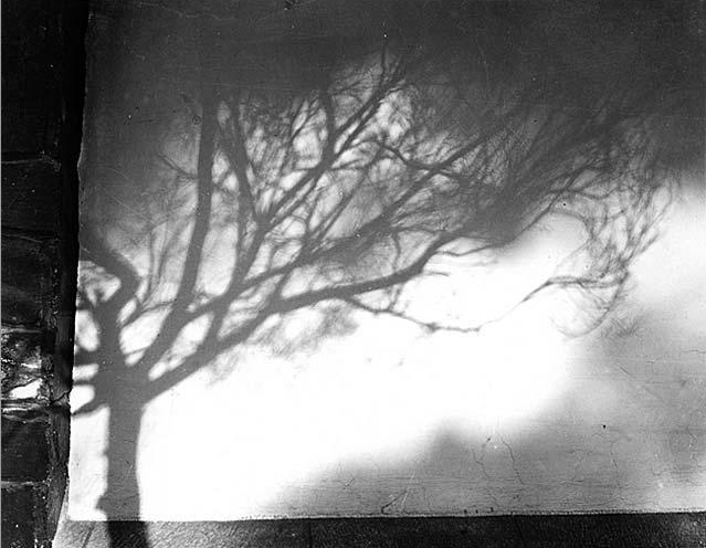 Manuel Álvarez Bravo