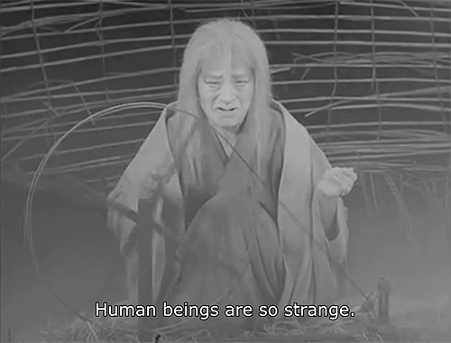 human beings are so strange