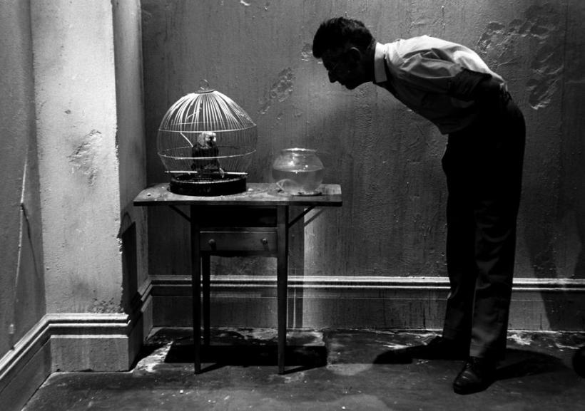 Steve Schapiro. Samuel Beckett En regardant Parrot, New York 1964