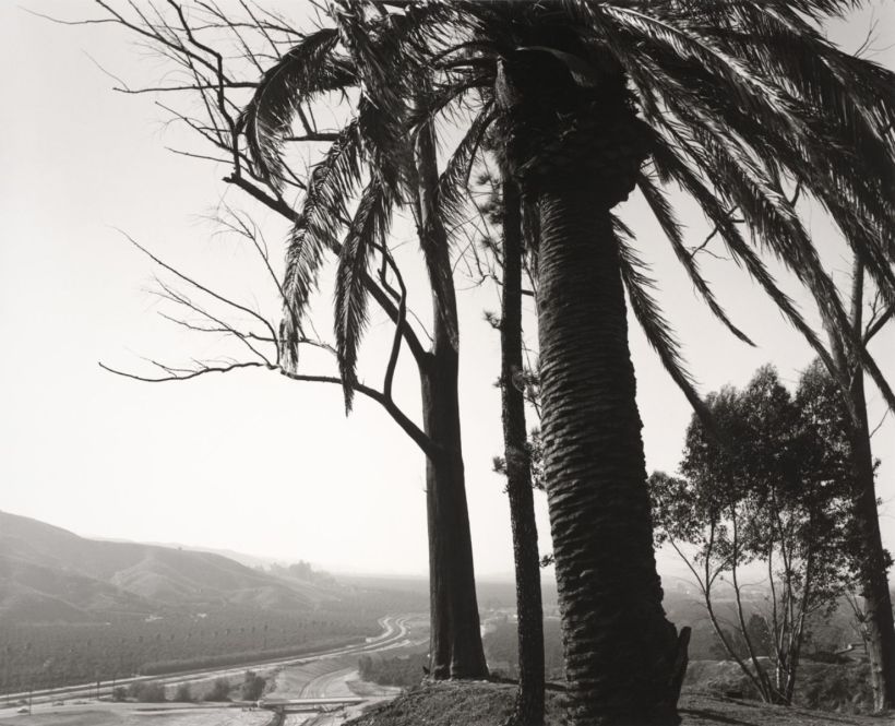 Edge of San Timoteo Canyon, Redlands, Californie 1978 Photo de Robert Adams.jpeg
